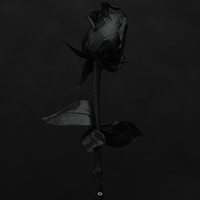 No More - Da-P, Mars Today