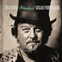 Il Suono Della Domenica - Zucchero