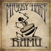 You Remind Me - Mickey Hart, Avey Tare