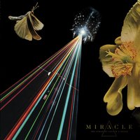 Dreamours - Miracle