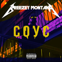 100 - Breezey Montana