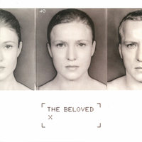 For Your Love - The Beloved