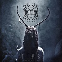 Alfadhirhaiti - Heilung