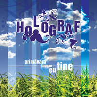 Holograf