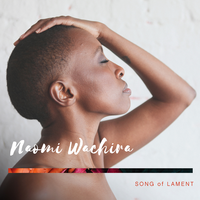 Beautifully Human - Naomi Wachira