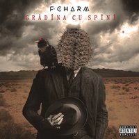 Arhitectul - F.Charm, Rucsy