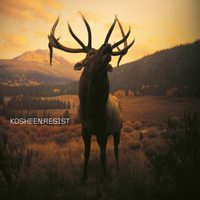 Pride - Kosheen