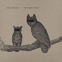 Digging Shelters - Neil Halstead