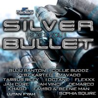 The Lyricist (Flatline) - VYBZ Kartel