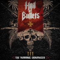 Dg-7 - Hail of Bullets