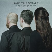 Miscarriage - Said The Whale