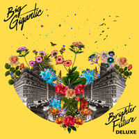 Miss Primetime - Big Gigantic, Pell