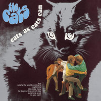 Full Stop - The Cats
