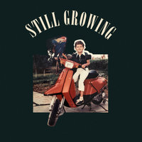 A Fool Getting Older - Full Crate