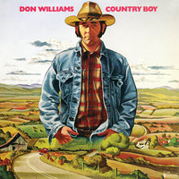 Overlookin' And Underthinkin' - Don Williams