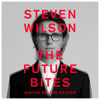 EYEWITNESS - Steven Wilson