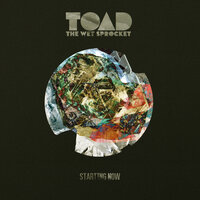 Truth - Toad The Wet Sprocket