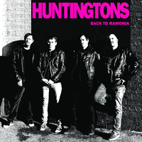 Suzy Is a Headbanger - Huntingtons