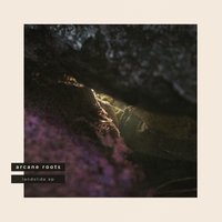 Matter (Revel) - Arcane Roots