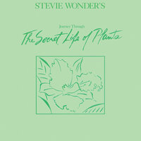 Come Back As A Flower - Stevie Wonder