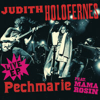 Kamikazefliege - Judith Holofernes