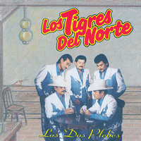 Te Malpasan De Amor - Los Tigres Del Norte