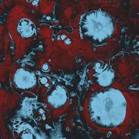 Porcelain Veins - The Black Queen