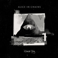 Rainier Fog - Alice In Chains