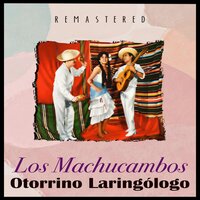 Los Machucambos