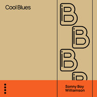 Bring Another Half Pint - Sonny Boy Williamson