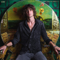 Rising Phoenix - Cobi