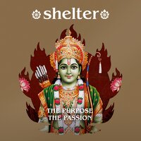 What's Keeping Them Alive? - Shelter