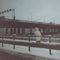 David Cassidy - Sun Kil Moon