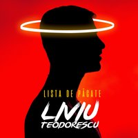 SAFE - Liviu Teodorescu
