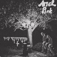 Function - Ariel Pink