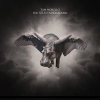 We Don't Need You - Tom Morello, Victor Kwesi Mensah