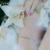 Отношения - Луна