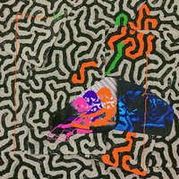 Buffalo Tomato - Animal Collective