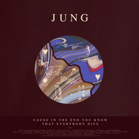 Irreplaceable - Jung