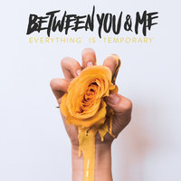 Everything Is Temporary - Between You & Me