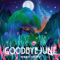 Bamboozler - Goodbye June