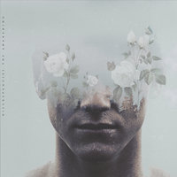 Foresight in Hindsight - Discrepancies