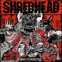 Hallucinations - Shredhead