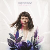 Agrafes - Mesparrow