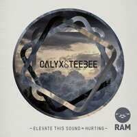 Elevate This Sound - Calyx & TeeBee