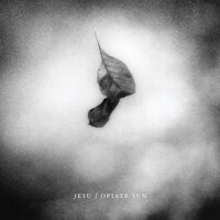 Losing Streak - Jesu