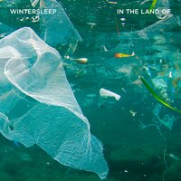Soft Focus - Wintersleep