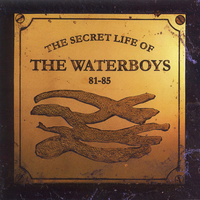 Out Of Control (BBC Radio 1's ''John Peel Show'' 25/2/81) - The Waterboys
