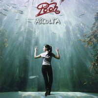 Stella - Pooh