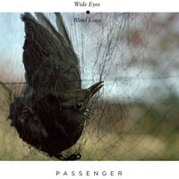 Snowflakes - Passenger